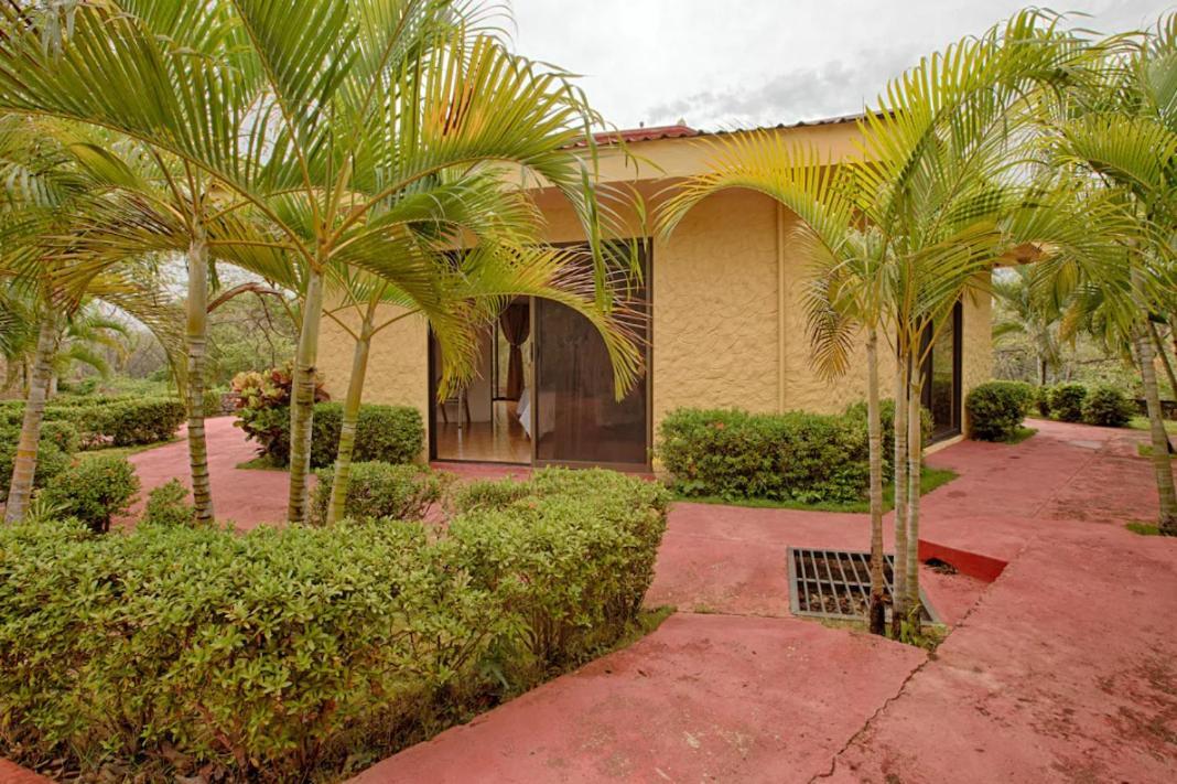 Vista Condor Lodge Puerto Viejo  Exterior photo